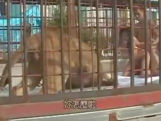 Japansk kvinne knullet innsiden den lions bur